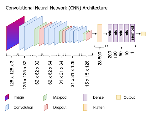 CNN Architecture